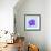 Purple Hippo-null-Framed Premium Giclee Print displayed on a wall