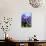 Purple Hyacinths-Ivonnewierink-Photographic Print displayed on a wall