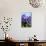 Purple Hyacinths-Ivonnewierink-Mounted Photographic Print displayed on a wall