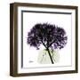 Purple Hydrangea Close Up-Albert Koetsier-Framed Art Print