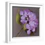 Purple Hydrangea-Erin Clark-Framed Art Print