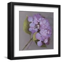 Purple Hydrangea-Erin Clark-Framed Art Print