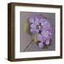 Purple Hydrangea-Erin Clark-Framed Art Print
