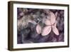 Purple Hydrangea-Judy Stalus-Framed Photographic Print