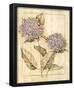 Purple Hydrangeas Art Print Poster-null-Framed Poster