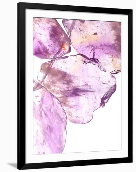 Purple II-Monika Burkhart-Framed Photographic Print