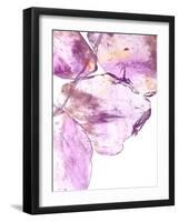 Purple II-Monika Burkhart-Framed Photographic Print