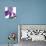 Purple Iris IV-Monika Burkhart-Photographic Print displayed on a wall
