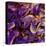 Purple Iris Petals-null-Stretched Canvas