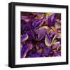 Purple Iris Petals-null-Framed Art Print