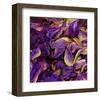 Purple Iris Petals-null-Framed Art Print