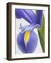 Purple Iris-Jamie & Judy Wild-Framed Photographic Print