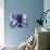 Purple Iris-Jamie & Judy Wild-Photographic Print displayed on a wall