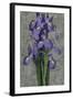 Purple Iris-John Seba-Framed Art Print