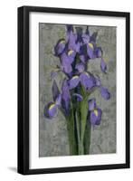 Purple Iris-John Seba-Framed Art Print