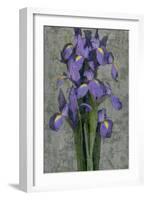 Purple Iris-John Seba-Framed Art Print