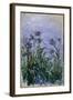 Purple Irises, 1914-17-Claude Monet-Framed Giclee Print
