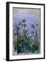 Purple Irises, 1914-17-Claude Monet-Framed Giclee Print