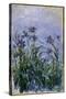 Purple Irises, 1914-17-Claude Monet-Stretched Canvas