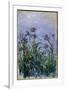 Purple Irises, 1914-17-Claude Monet-Framed Giclee Print