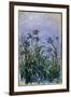 Purple Irises, 1914-17-Claude Monet-Framed Giclee Print
