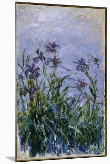 Purple Irises, 1914-17-Claude Monet-Mounted Giclee Print