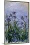 Purple Irises, 1914-17-Claude Monet-Mounted Giclee Print