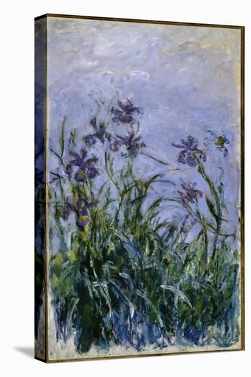 Purple Irises, 1914-17-Claude Monet-Stretched Canvas