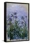 Purple Irises, 1914-17-Claude Monet-Framed Stretched Canvas