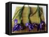 Purple Irises on a Bamboo Mat-Colin Anderson-Framed Stretched Canvas