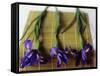 Purple Irises on a Bamboo Mat-Colin Anderson-Framed Stretched Canvas