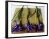 Purple Irises on a Bamboo Mat-Colin Anderson-Framed Photographic Print