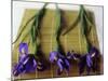 Purple Irises on a Bamboo Mat-Colin Anderson-Mounted Photographic Print