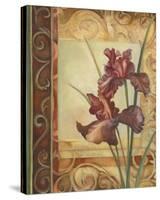 Purple Irises-Louise Montillio-Stretched Canvas