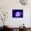 Purple Jellyfish-werny-Photographic Print displayed on a wall