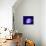 Purple Jellyfish-werny-Mounted Photographic Print displayed on a wall