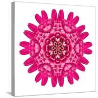 Purple Kaleidoscopic Flower Mandala-tr3gi-Stretched Canvas