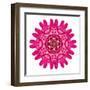 Purple Kaleidoscopic Flower Mandala-tr3gi-Framed Art Print