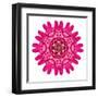 Purple Kaleidoscopic Flower Mandala-tr3gi-Framed Art Print