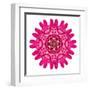 Purple Kaleidoscopic Flower Mandala-tr3gi-Framed Art Print