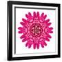 Purple Kaleidoscopic Flower Mandala-tr3gi-Framed Art Print