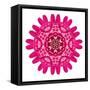 Purple Kaleidoscopic Flower Mandala-tr3gi-Framed Stretched Canvas