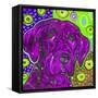 Purple Lab-MADdogART-Framed Stretched Canvas