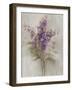 Purple Larkspur Garden on Grey-Albena Hristova-Framed Art Print