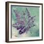 Purple Leaves Flying I-Patricia Pinto-Framed Art Print