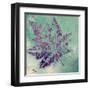 Purple Leaves Flying I-Patricia Pinto-Framed Art Print