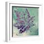 Purple Leaves Flying I-Patricia Pinto-Framed Art Print