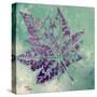 Purple Leaves Flying I-Patricia Pinto-Stretched Canvas