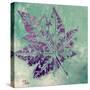 Purple Leaves Flying I-Patricia Pinto-Stretched Canvas