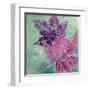 Purple Leaves Flying II-Patricia Pinto-Framed Art Print